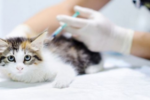 Як зробити крах - інструкція та поради Як зробити крах - інструкція та поради